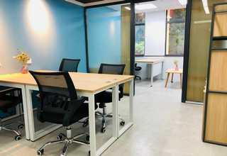 绍兴木质纤维哪家好